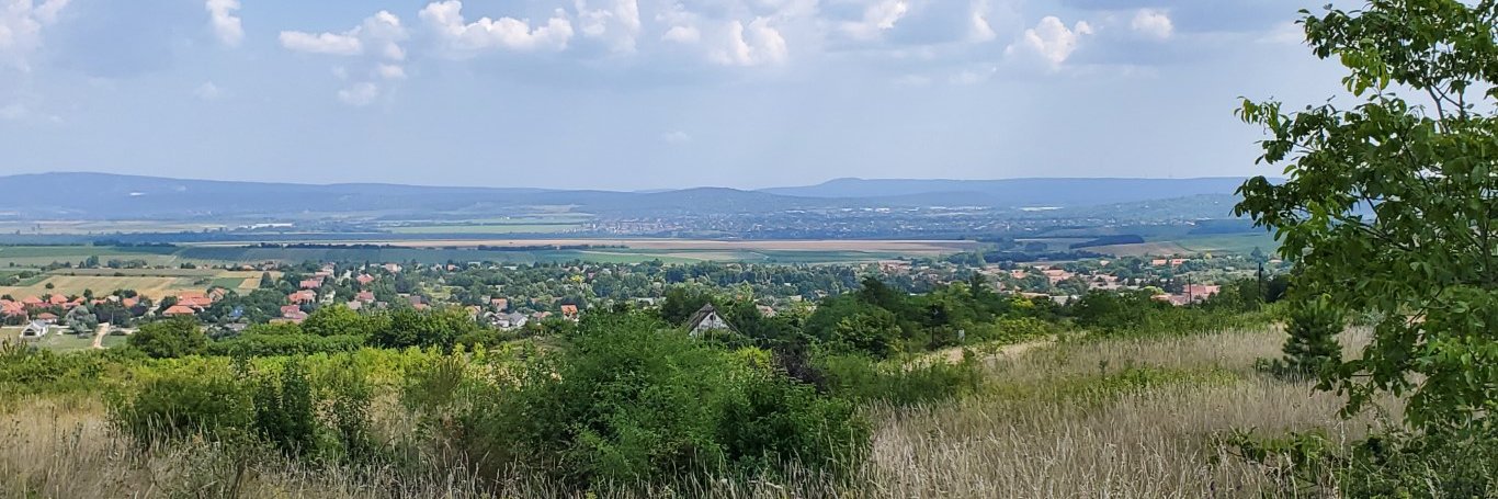 #NotDying4WallStreet banner