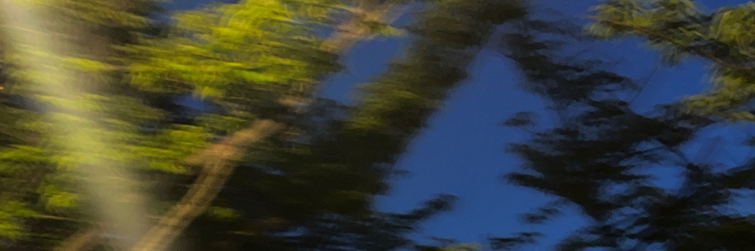 shuttwr's profile banner image