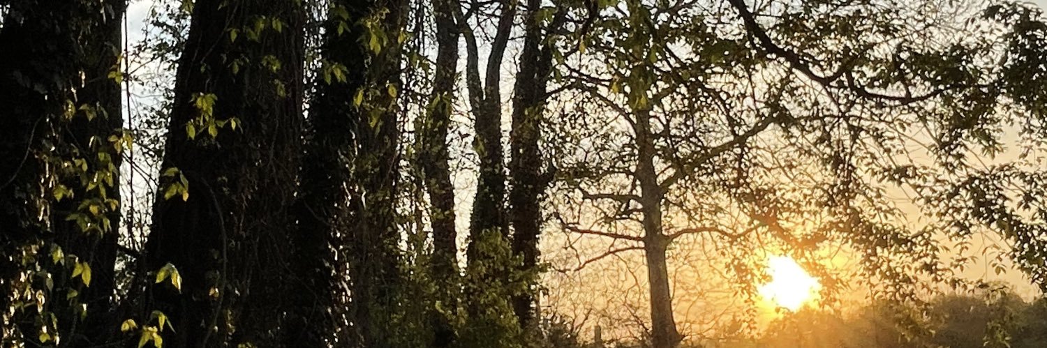 _andq's profile banner image