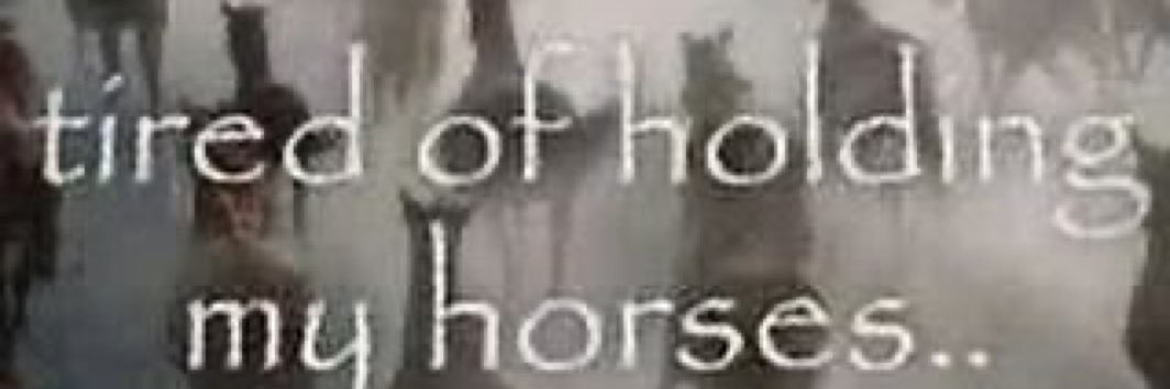 Josh banner
