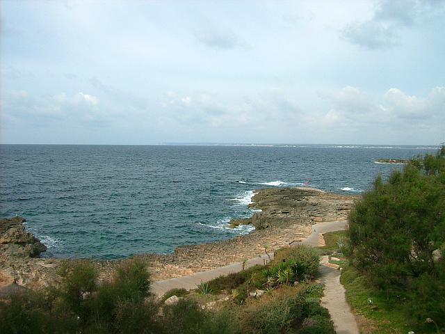 Katrin Neu 🇪🇺 banner