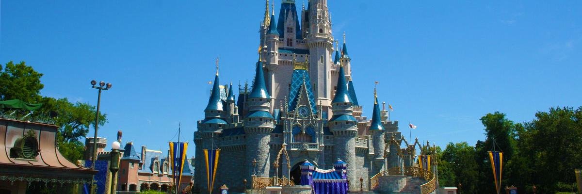 Disney Fanatic banner