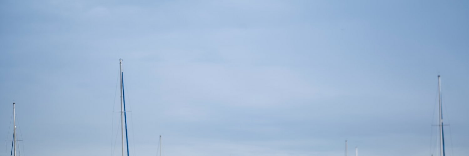 ZhaoAlisa's profile banner image