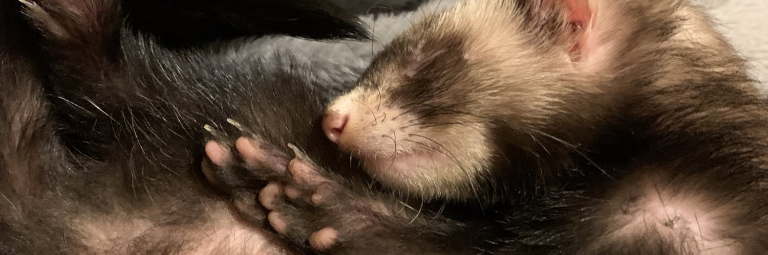 AlyssaLaughman's profile banner image