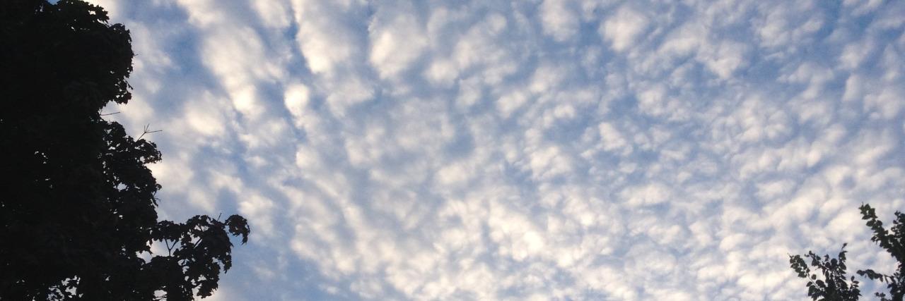 Barnett Newman's Stripe banner