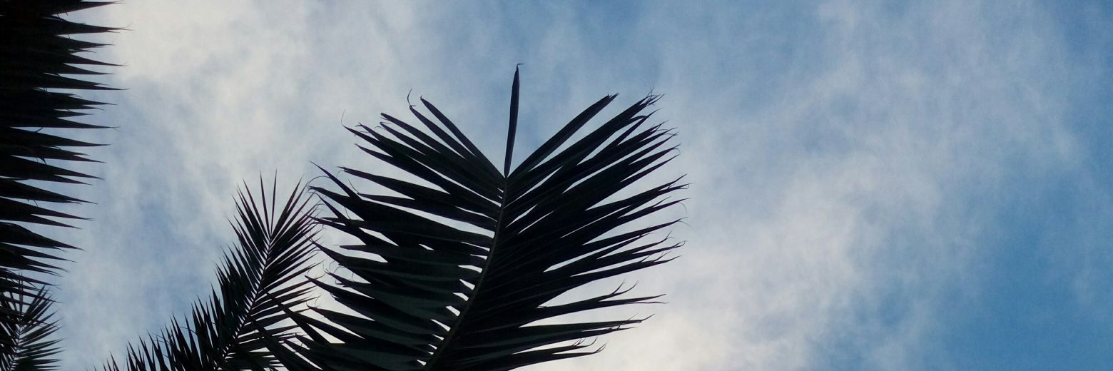 sumiaaldulaimi's profile banner image