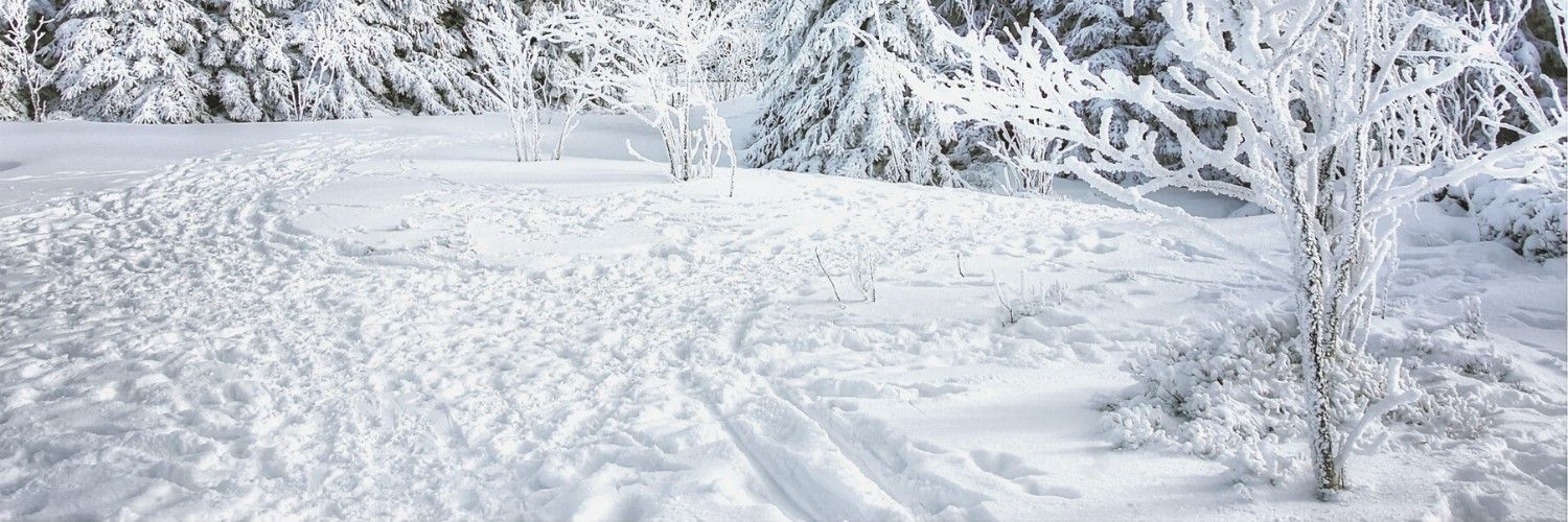 fjunya's profile banner image