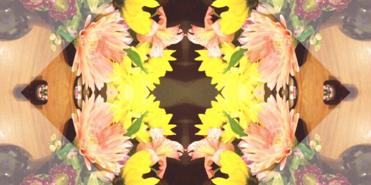 sonnecakes's profile banner image