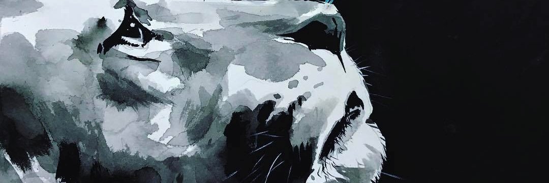 CAJUprisma's profile banner image