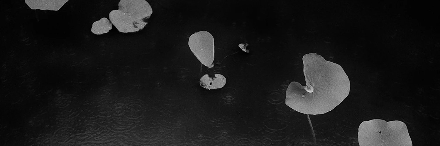 saatdobato's profile banner image
