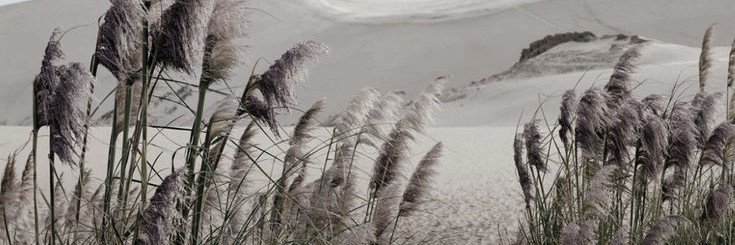 ckhloe's profile banner image