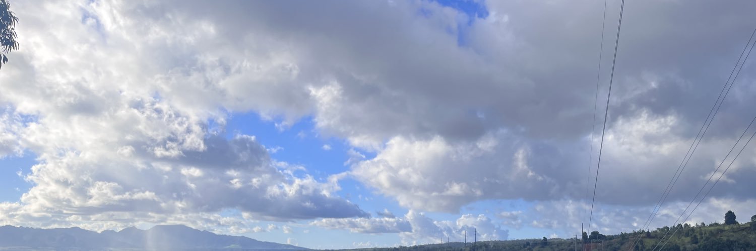 StephnMThomas's profile banner image