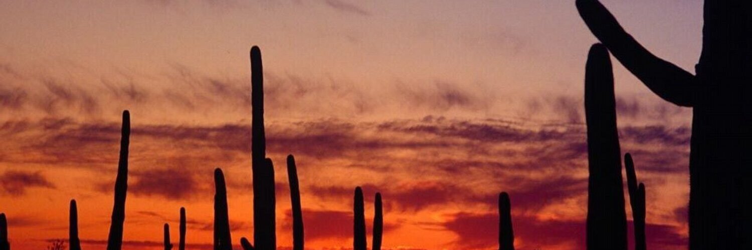 keithweinerpr's profile banner image