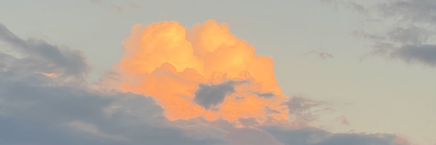 Sarahhencz's profile banner image