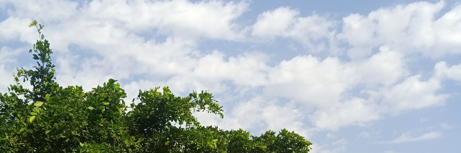 RindSays's profile banner image