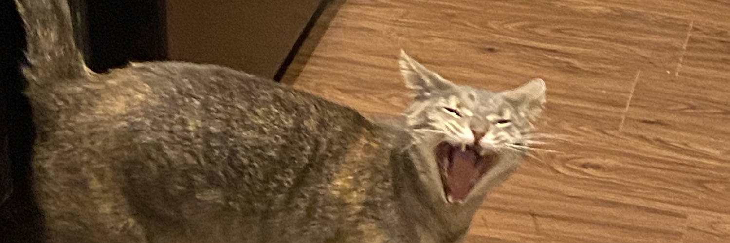 dorell2raww's profile banner image