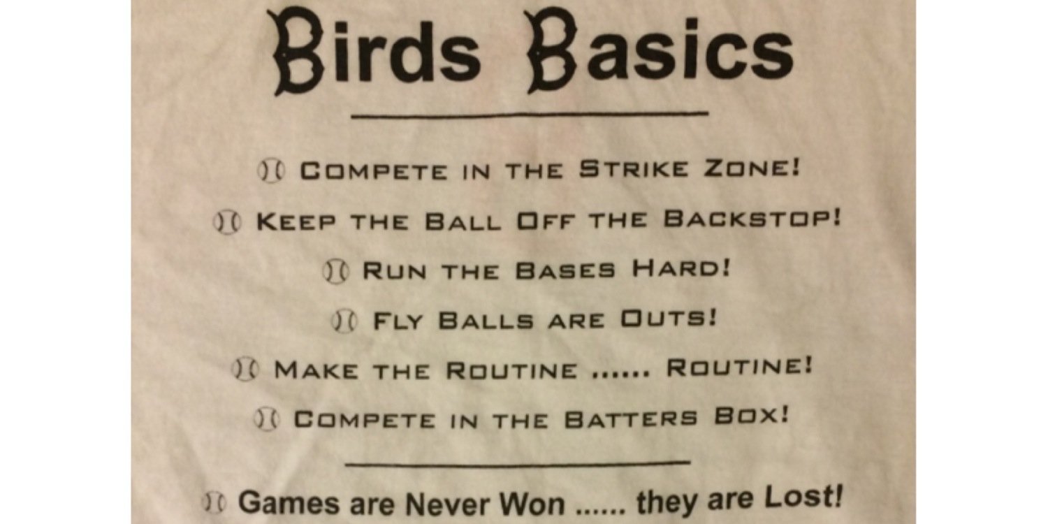 So Cal Birds (Baseball Training Academy) banner