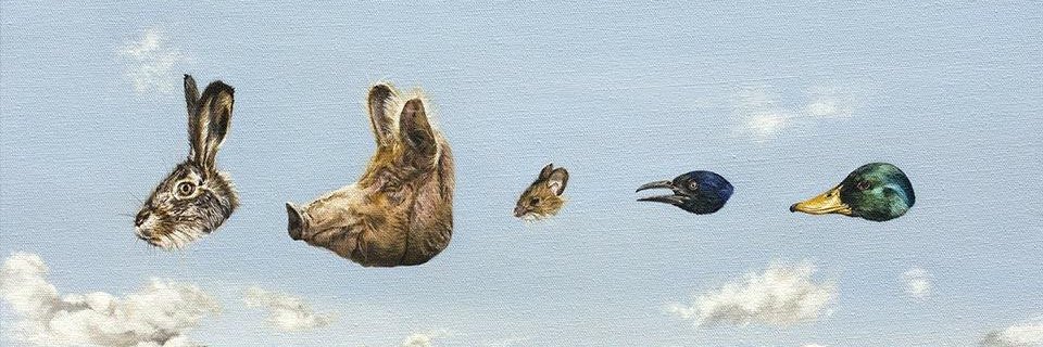 cbaugh's profile banner image