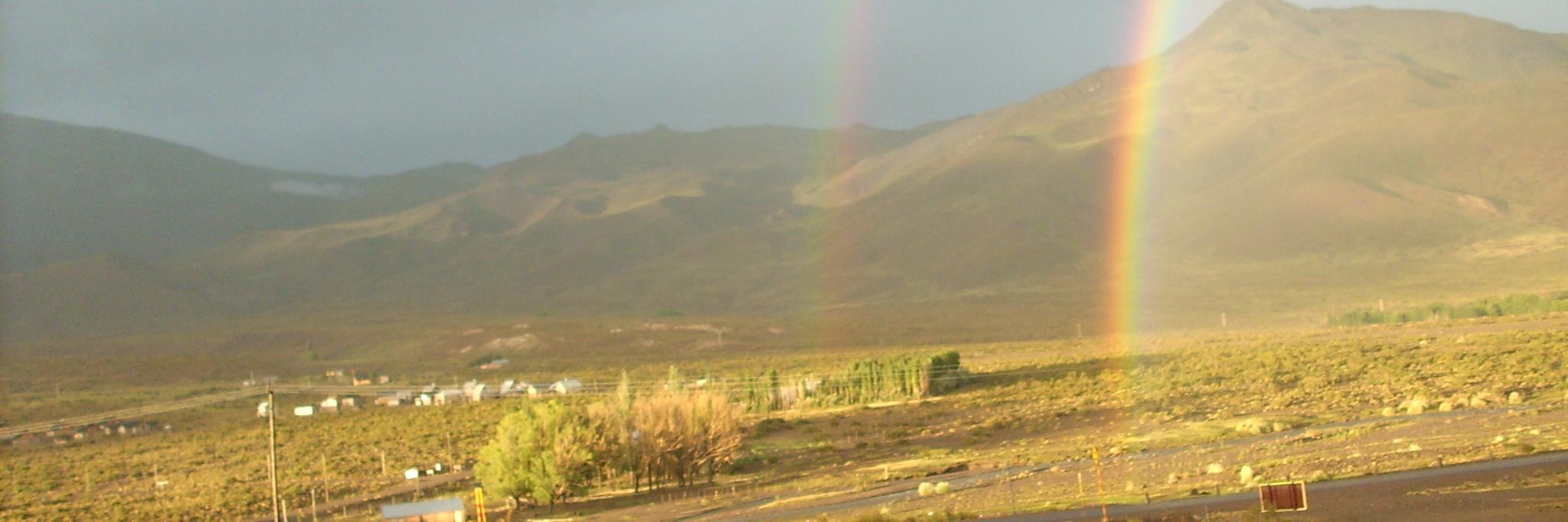 Jimena Beltra banner