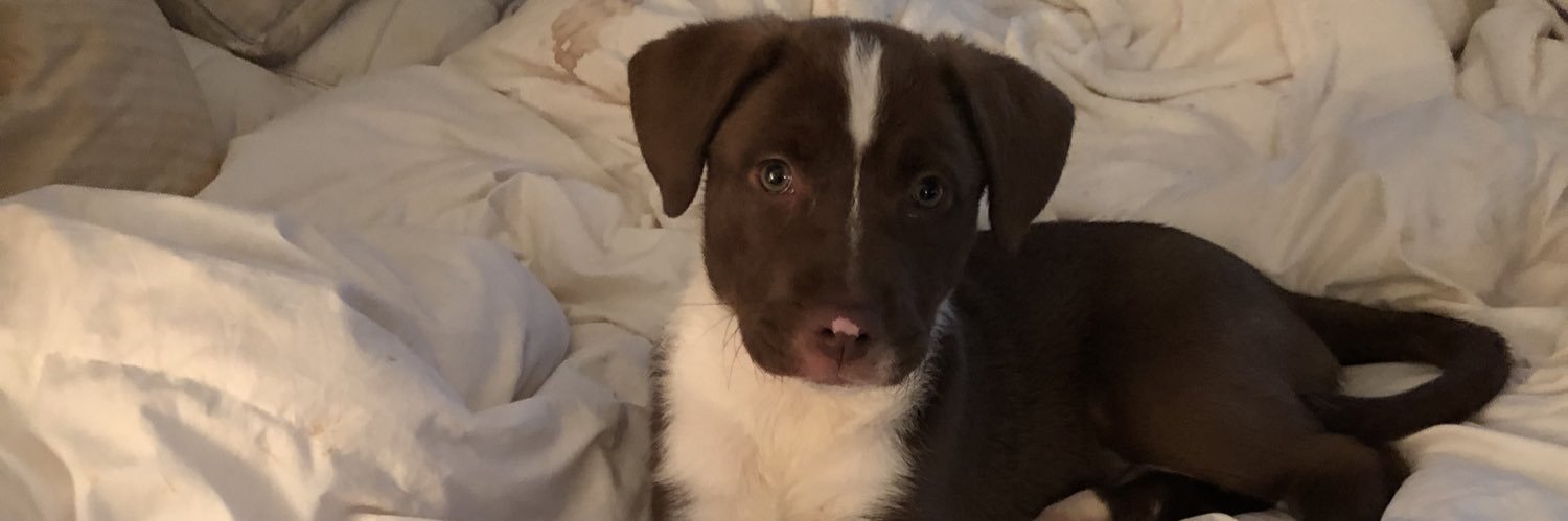 Katie 🤟 banner