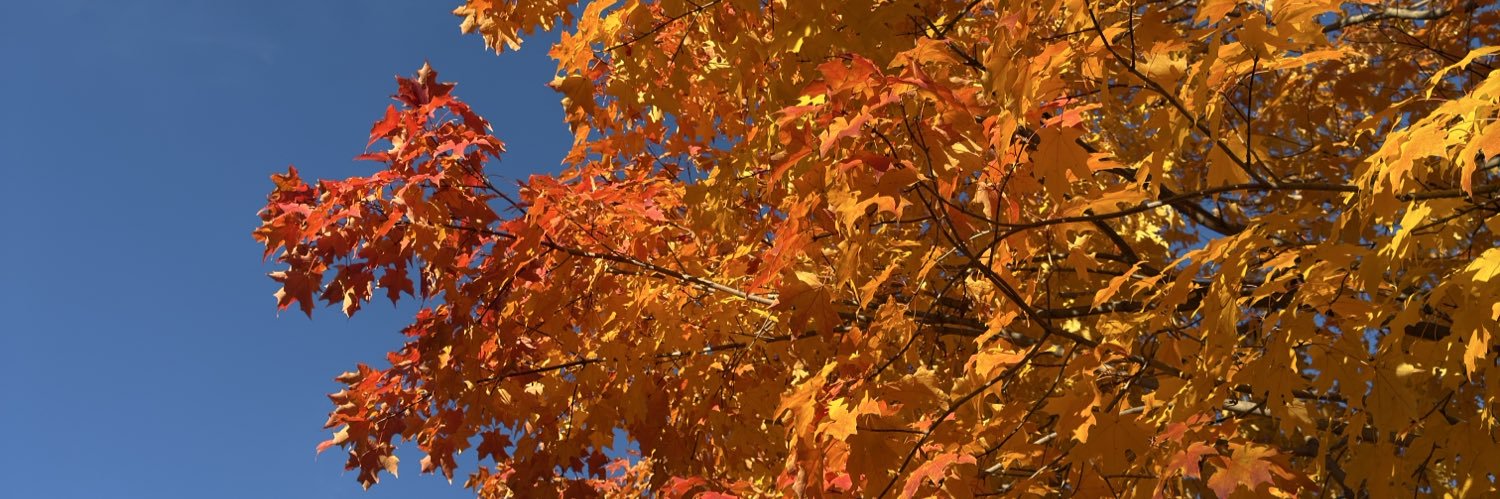 vxbtxv's profile banner image