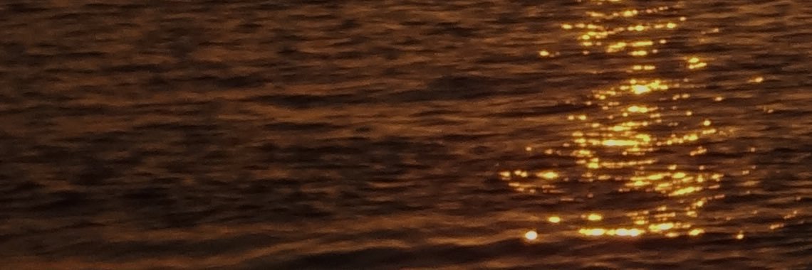 andreamontillae's profile banner image