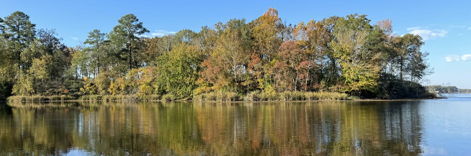 Michael Pechar banner