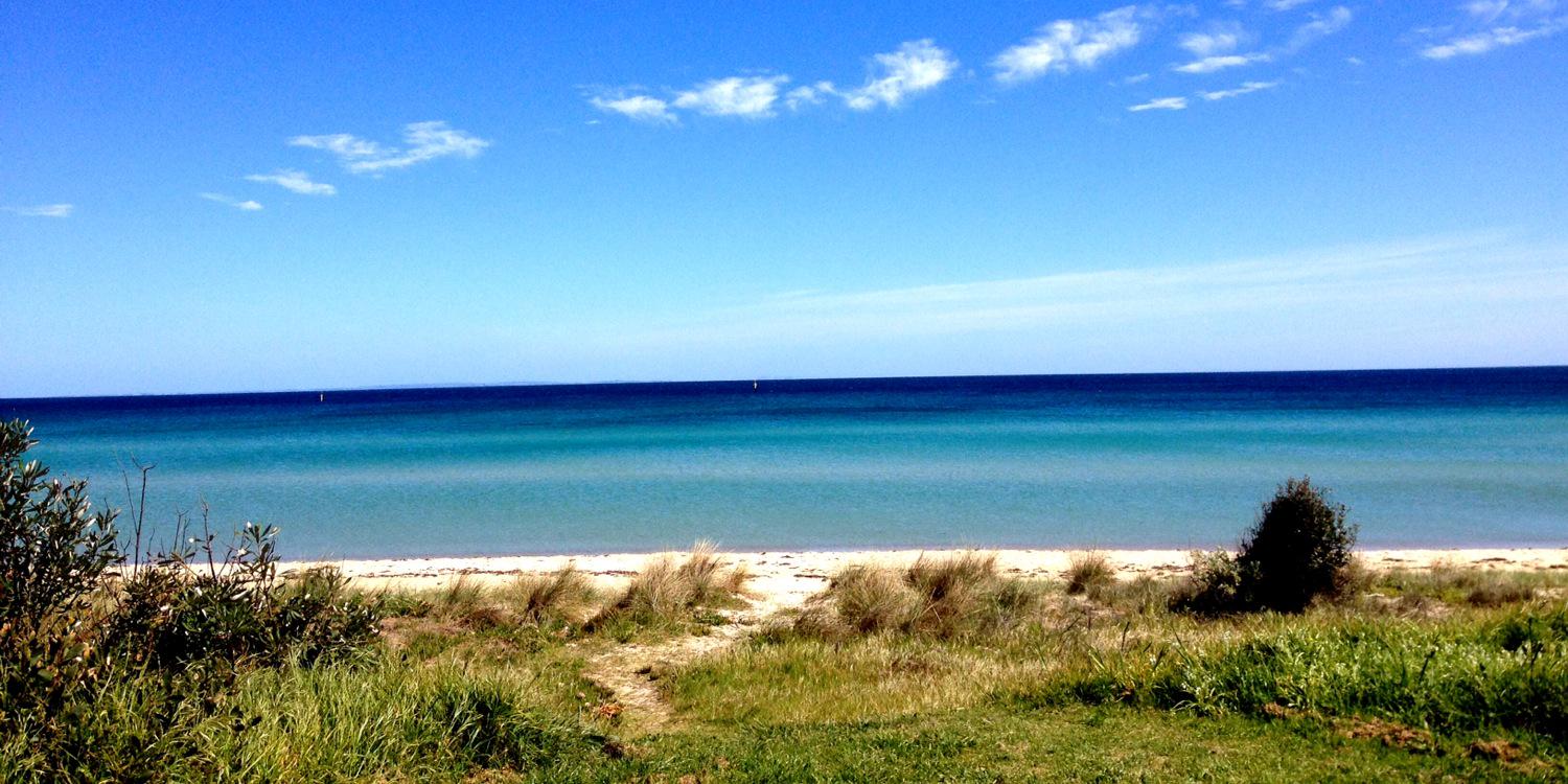 Amelia Savery banner