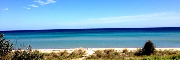 Sunset_SC2 Profile Banner