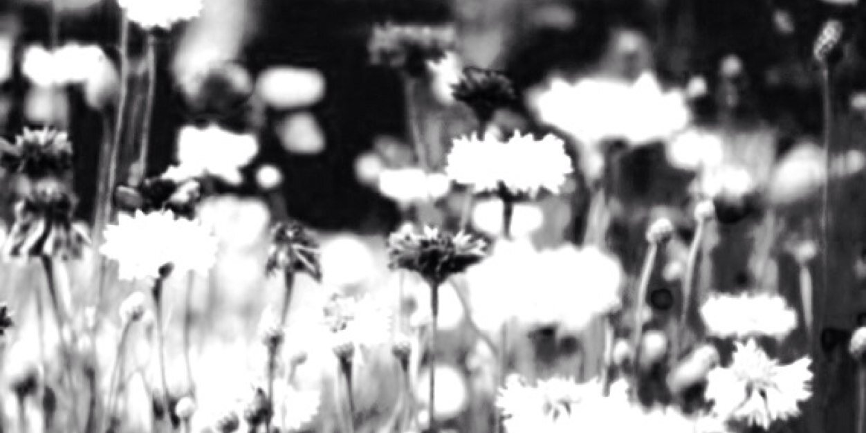 KendallSoler's profile banner image