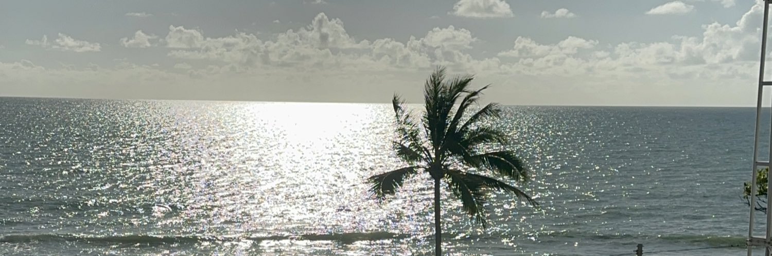 Rodrigozevedo's profile banner image