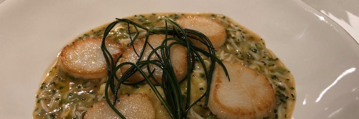 fine dining guide banner