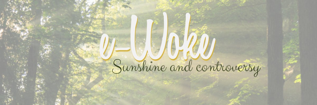 e_wokes's profile banner image