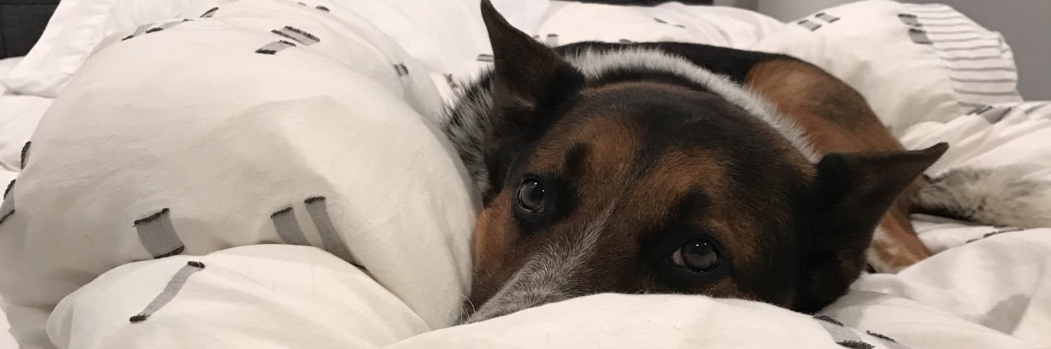 TinaaaTime's profile banner image