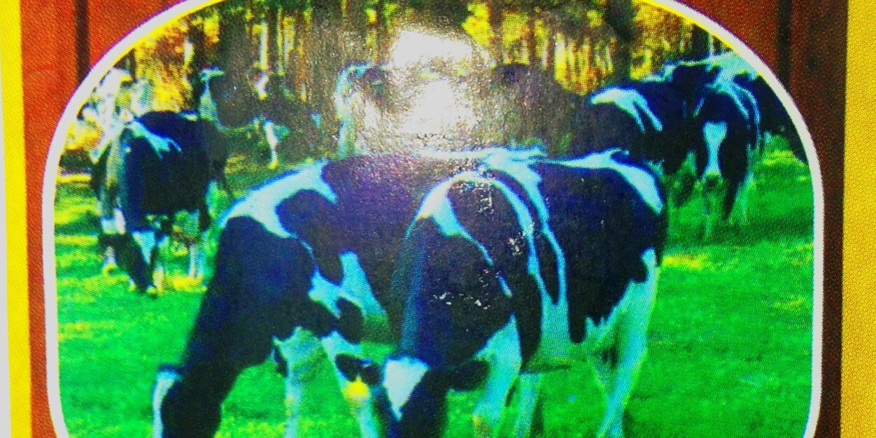 HappyCowC's profile banner image