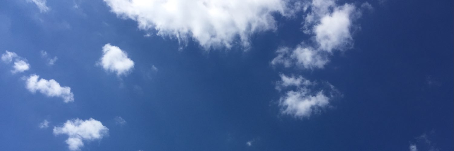 profswint's profile banner image