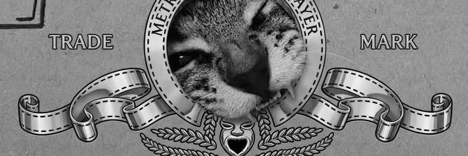 Tom🦉 banner