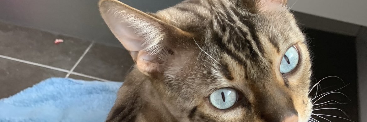 Spudroll77's profile banner image