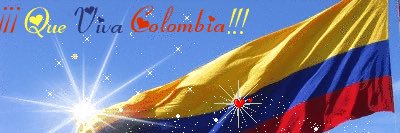 dilicepeda's profile banner image