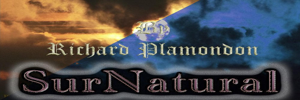 RickPlamondon's profile banner image