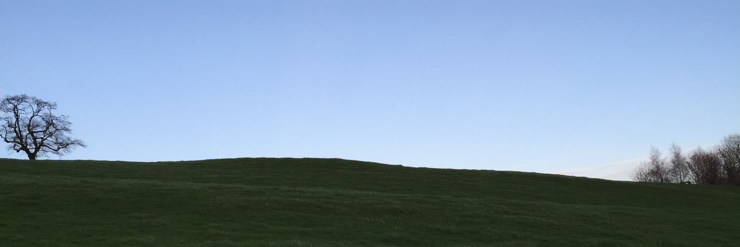 OocOliver's profile banner image