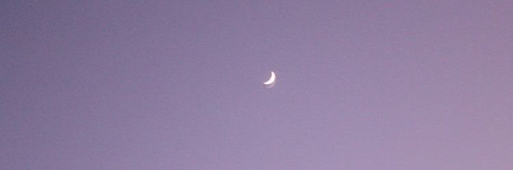 cuddlluke's profile banner image