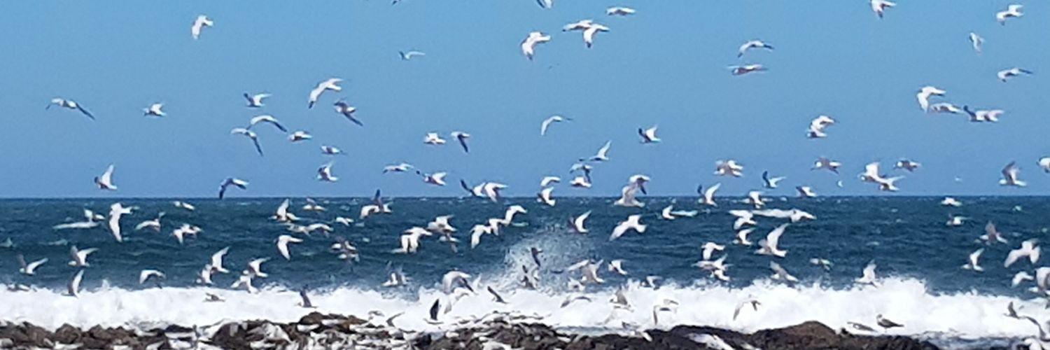 makpunta2's profile banner image