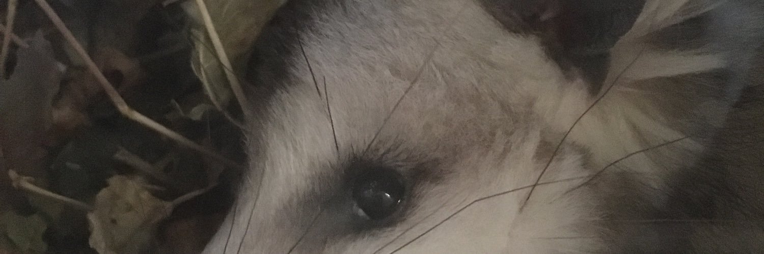 LaTap's profile banner image