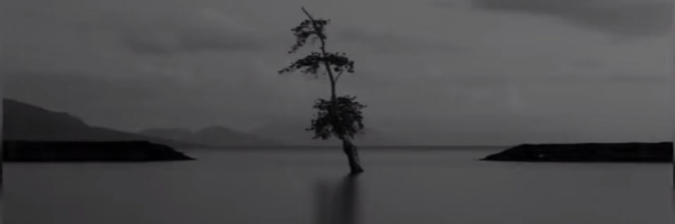 Heim4L's profile banner image