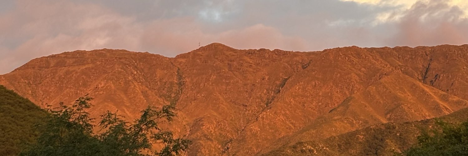 BiancaTriulcio's profile banner image