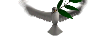 bobcolee's profile banner image