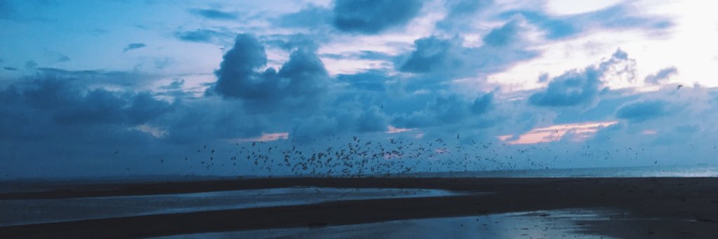 funkenteen's profile banner image
