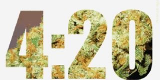 josedcervan's profile banner image