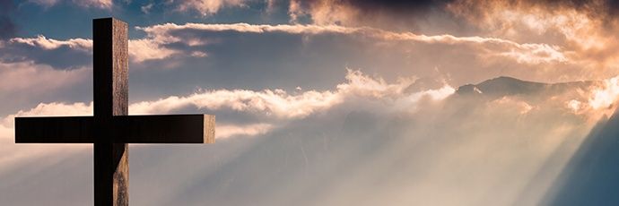 LauraDouglasE's profile banner image